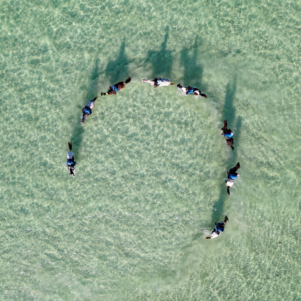 DJI_0129